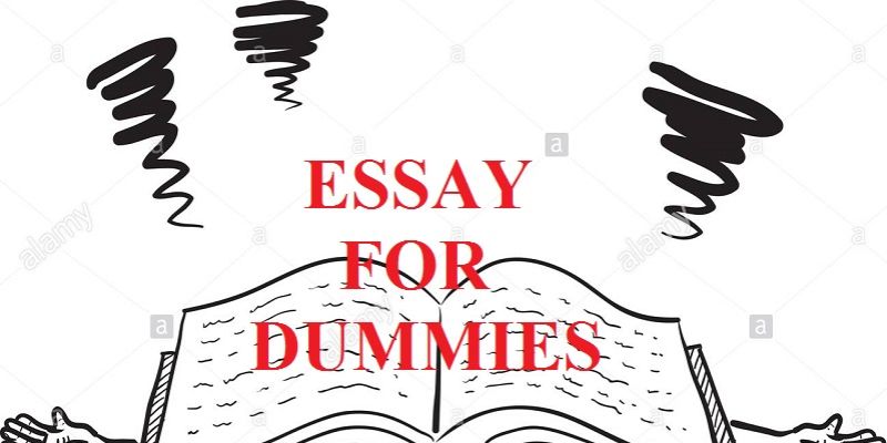 Admission essay writing dummies