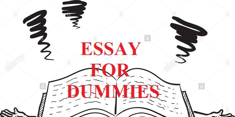 how to write a essay for dummies