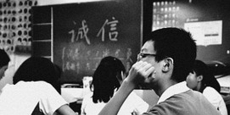 Essay bus hire 06 picture